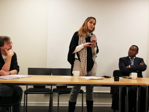 Advokat Helle Holm Thomsen gennemgik regler om udvisning